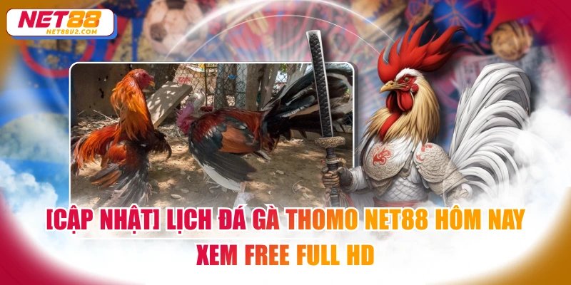 Đá gà Thomo NET88