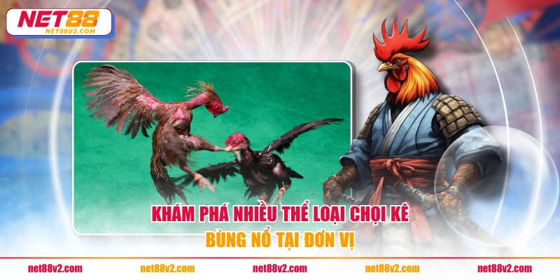 Khám phá nhiều thể loại chọi kê bùng nổ tại đơn vị