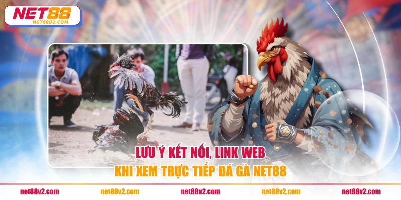 Lưu ý kết nối, link web khi xem trực tiếp đá gà NET88