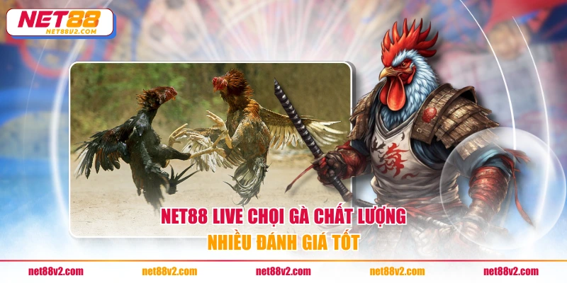NET88 live chọi gà chất lượng, nhiều đánh giá tốt