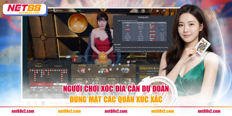 Người chơi Xóc Đĩa cần dự đoán đúng mặt các quân xúc xắc