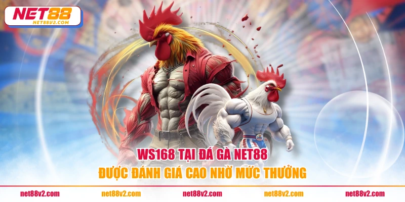WS168 tại đá gà NET88 được đánh giá cao nhờ mức thưởng
